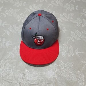 Fort Wayne Tin Caps Hat